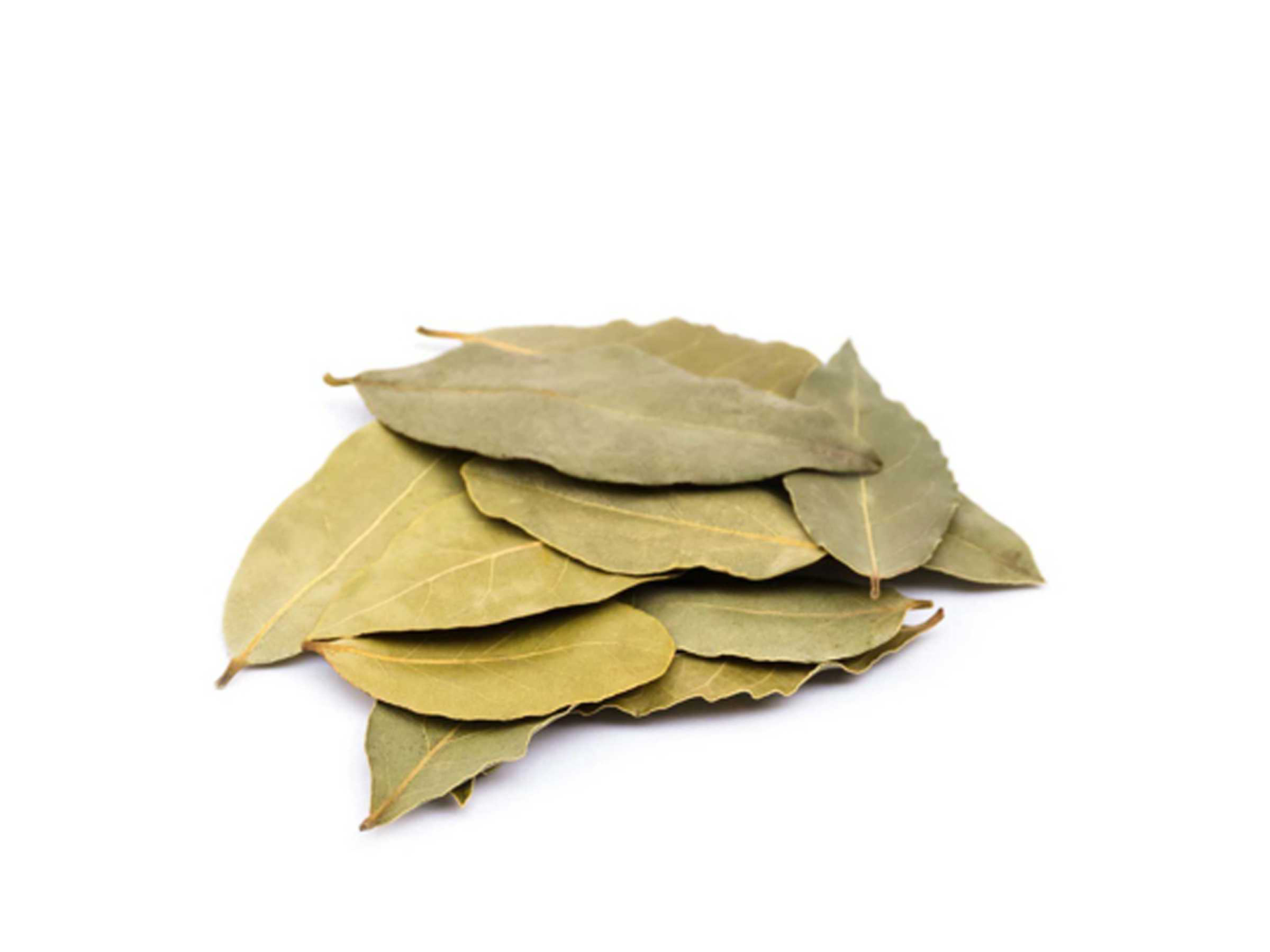 Tejpatta / Tamalpatra/ Bay Leaf Powder